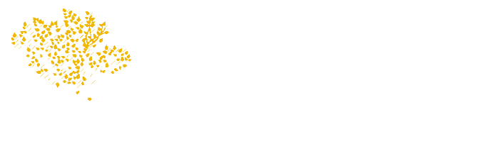 McCall Idaho Vacation Rentals LLC (MIVR) 