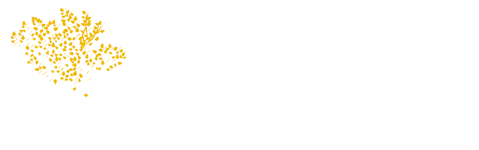 McCall Idaho Vacation Rentals